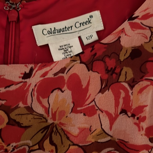 COLDWATER CREEK LINED SUNDRESS SIZE 12P 100% SILK, LINING 100% ACETATE VGUC - Picture 3 of 7